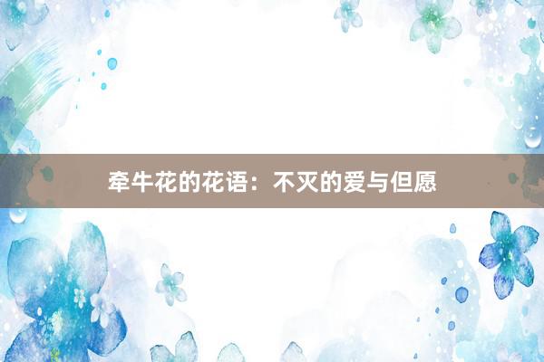牵牛花的花语：不灭的爱与但愿